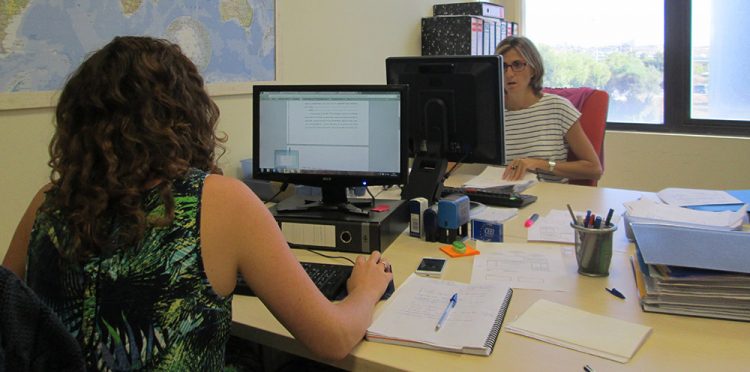 agencia de traducción