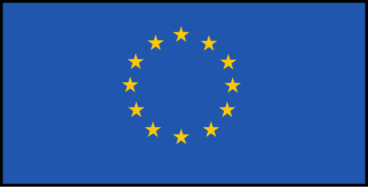 sociedad anónima europea